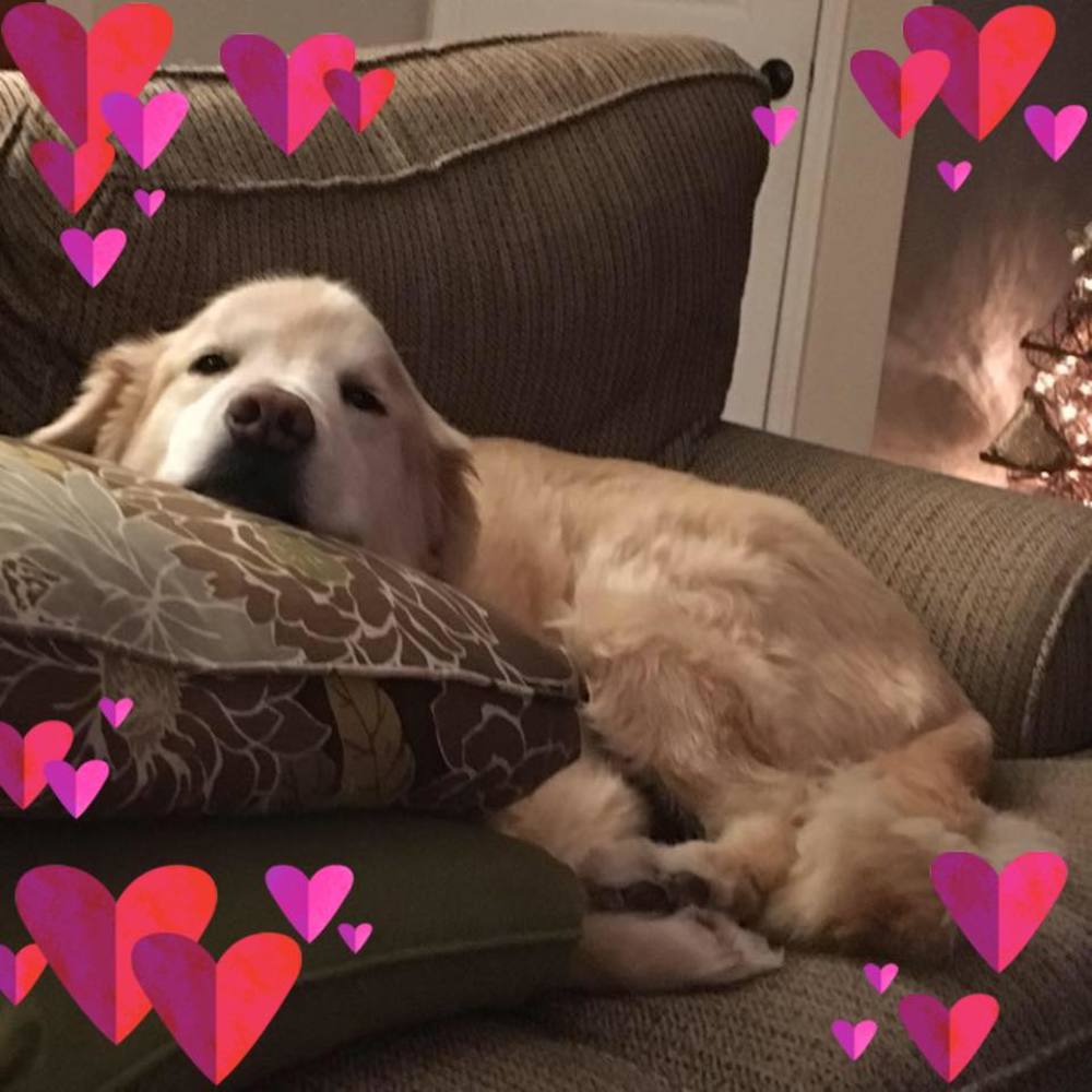 Meet your Posher, Rosemary